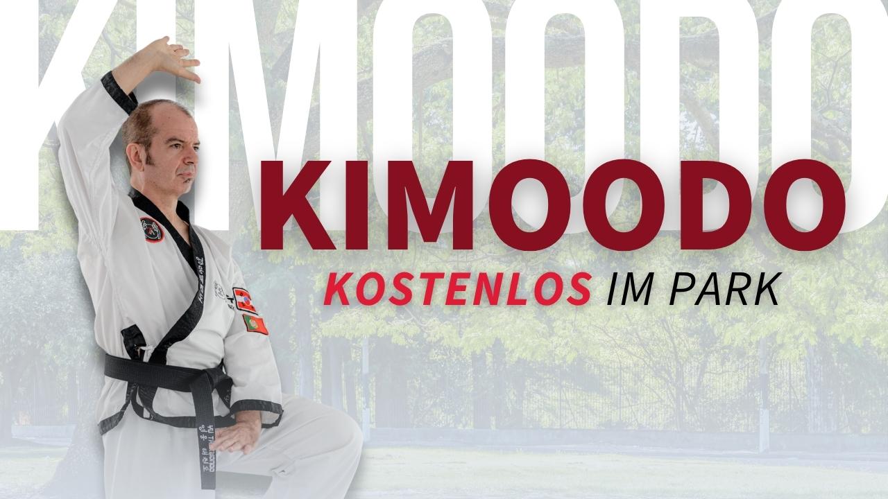 Darstellung der Taekwondo Kimoodo im Park Juli 2026